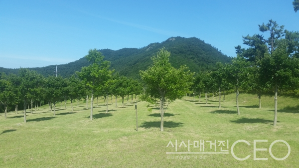 국민행복과 부강한 대한민국, 산림의 미래가치에 달렸다