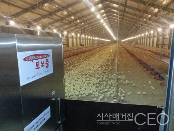축산농가의 악취와 전염병 해결한 신기술 탄생