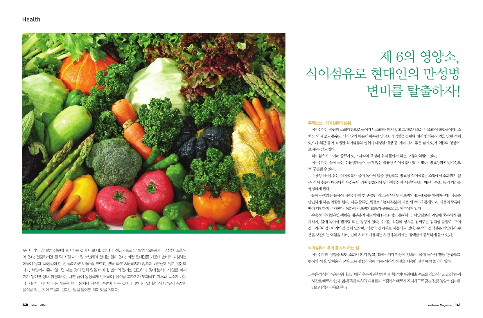 제 6의 영양소, 식이섬유로 현대인의 만성병 변비를 탈출하자