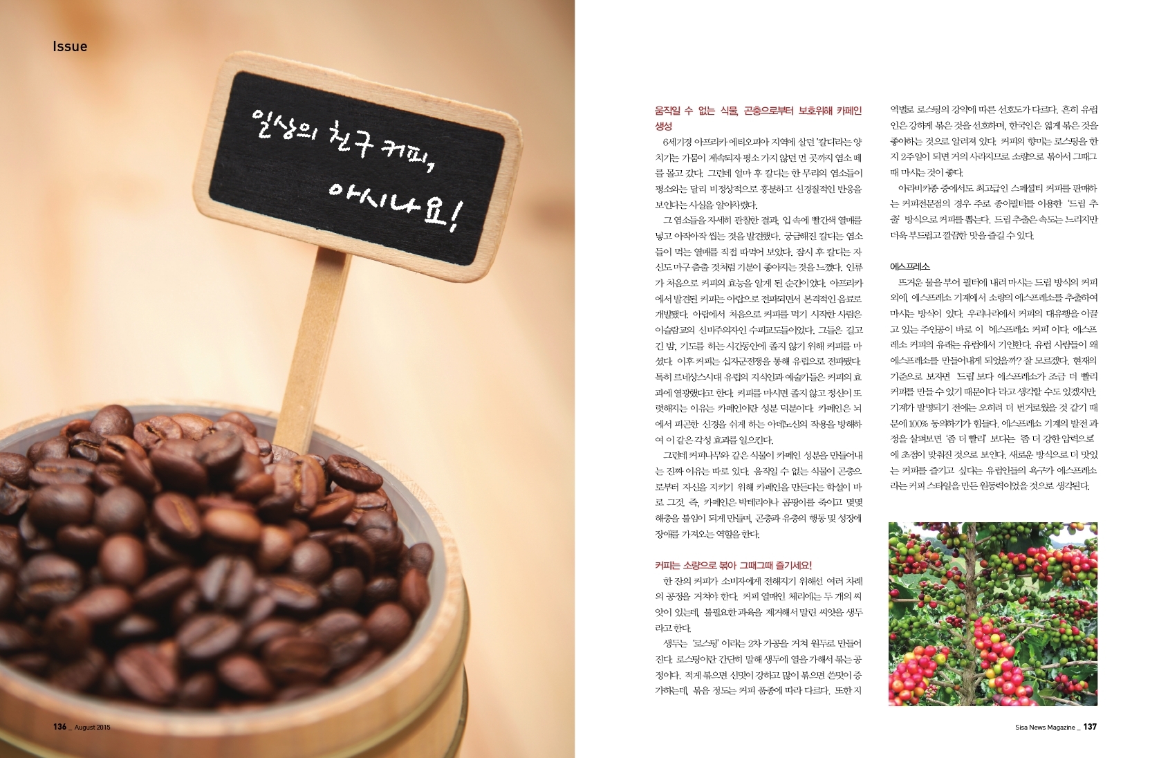 일상의 친구 커피, 아시나요?!